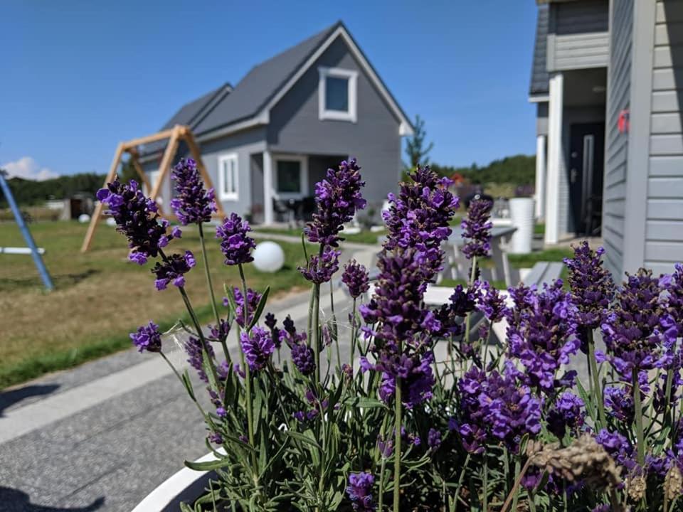 Morskie Opowiesci Niechorze Exteriér fotografie